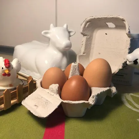 Hen-coop Mit Zwei Schlafzimmern&netflix *