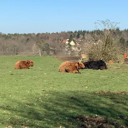 Hen-coop Mit Zwei Schlafzimmern & Netflix Lägenhet