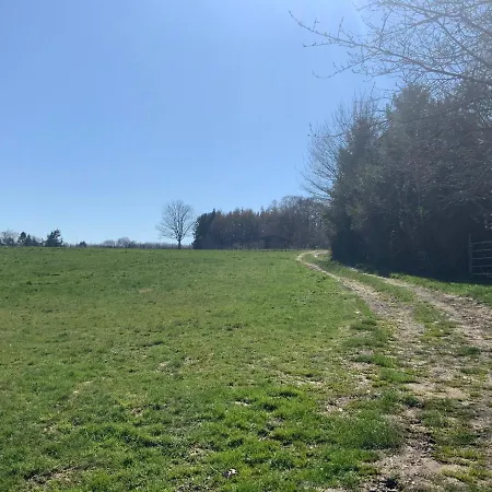 Apartment Hen-coop Mit Zwei Schlafzimmern&netflix Kaiserslautern