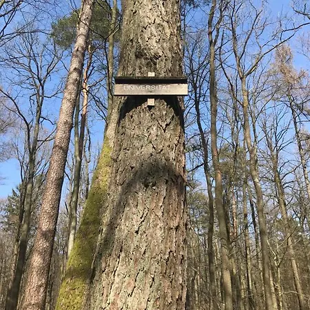 Hen-coop Mit Zwei Schlafzimmern&netflix Apartment Kaiserslautern