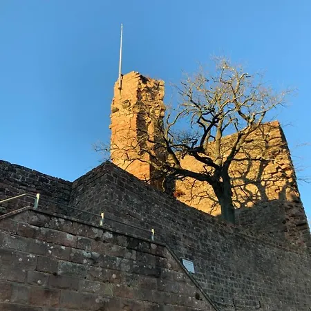 Hen-coop Mit Zwei Schlafzimmern&netflix Apartment