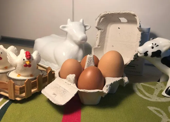 Hen-coop Mit Zwei Schlafzimmern & Netflix *