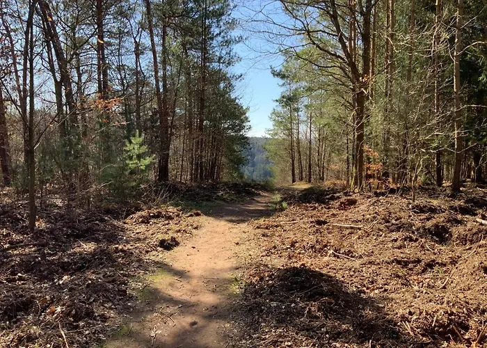 Hen-coop Mit Zwei Schlafzimmern & Netflix * 凯撒斯劳滕