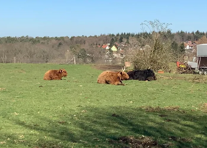 Hen-coop Mit Zwei Schlafzimmern & Netflix 公寓