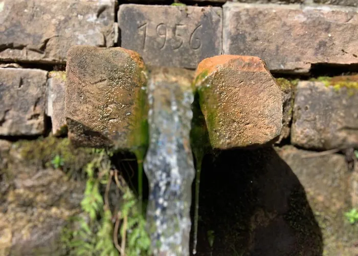 Hen-coop Mit Zwei Schlafzimmern & Netflix * 凯撒斯劳滕