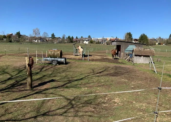 Hen-coop Mit Zwei Schlafzimmern & Netflix 凯撒斯劳滕