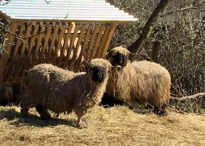 Hen-coop Mit Zwei Schlafzimmern & Netflix *