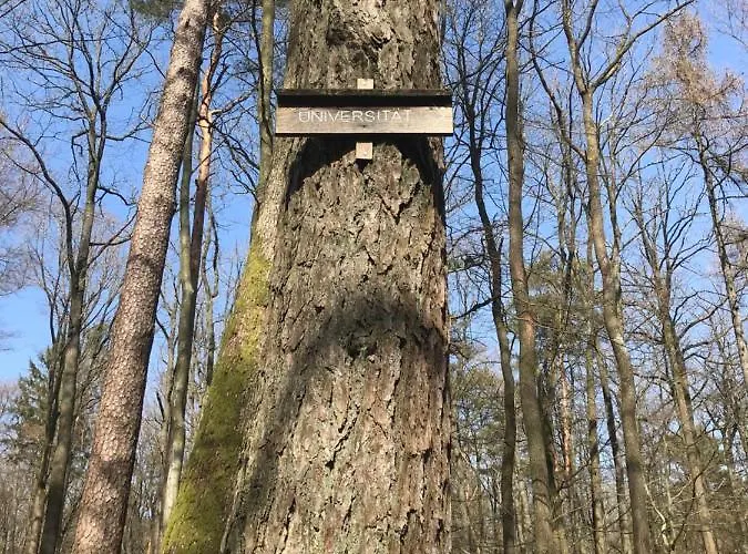 Hen-coop Mit Zwei Schlafzimmern & Netflix 公寓 凯撒斯劳滕