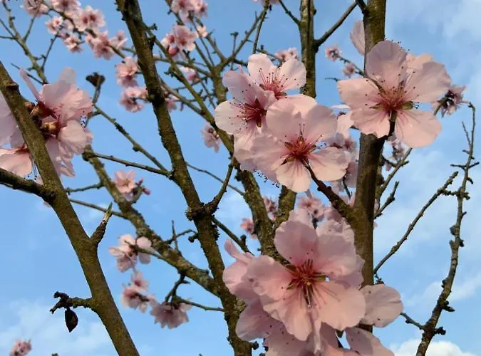 Hen-coop Mit Zwei Schlafzimmern & Netflix